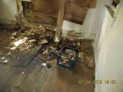 2650 Taylor 2nd trip (39)_m.jpg